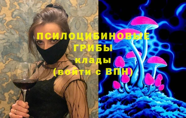 ешки Алексин