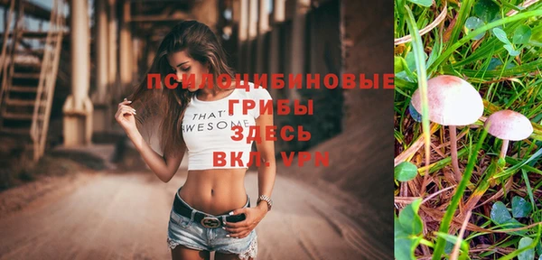 ешки Алексин